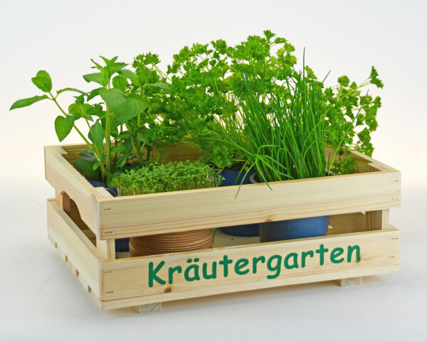 Kräutergarten - Stiege M halb - Küchendeko