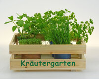 Kräutergarten - Stiege M halb - Küchendeko