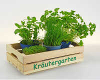 Kräutergarten Stiege S - Küchendeko - Kiste...