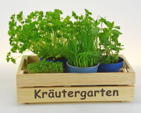 Kräutergarten Stiege S - Küchendeko - Kiste...